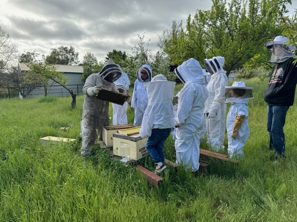 4-H Beekeeping group with the hives