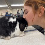 Nose to nose with a Holland Lop